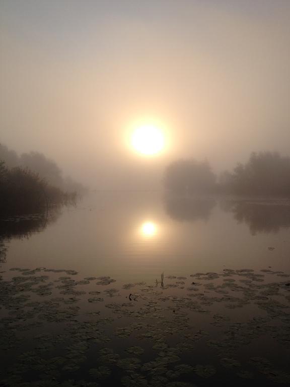 Studio Lakeside Spiegelplas Nederhorst den Berg الغرفة الصورة