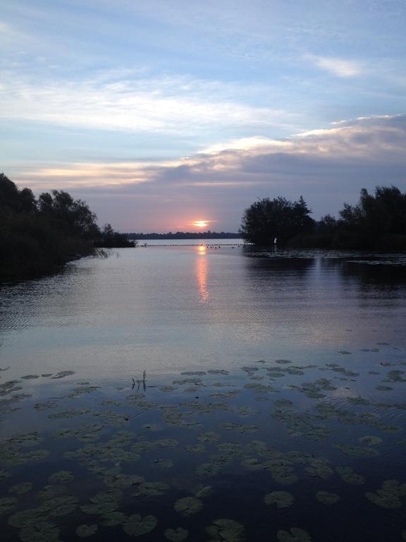 Studio Lakeside Spiegelplas Nederhorst den Berg الغرفة الصورة
