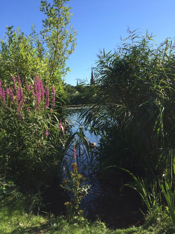 Studio Lakeside Spiegelplas Nederhorst den Berg المظهر الخارجي الصورة
